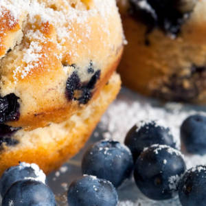 Blueberry Muffin